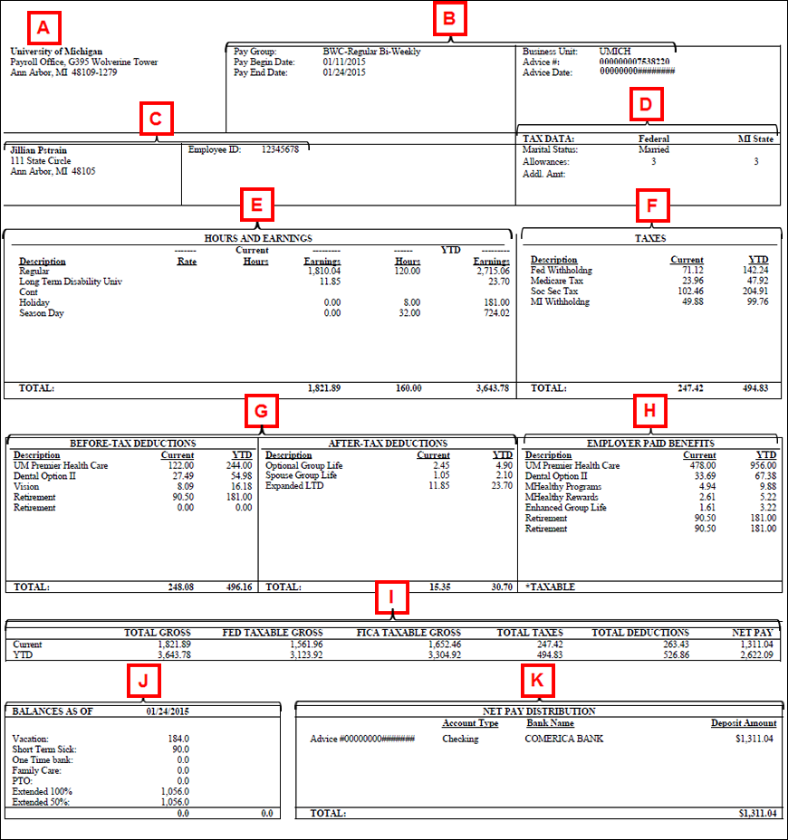 Help: View Your Paycheck