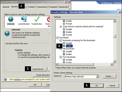 Security - Custom Level